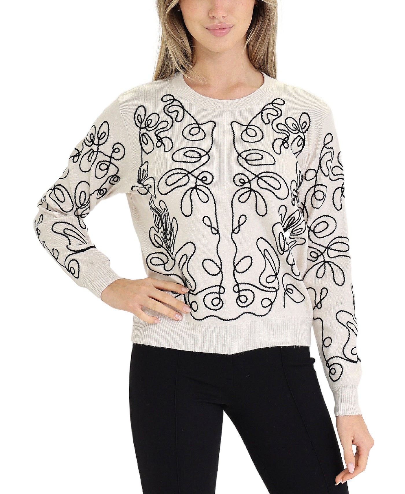 Embroidered Sweater view 1