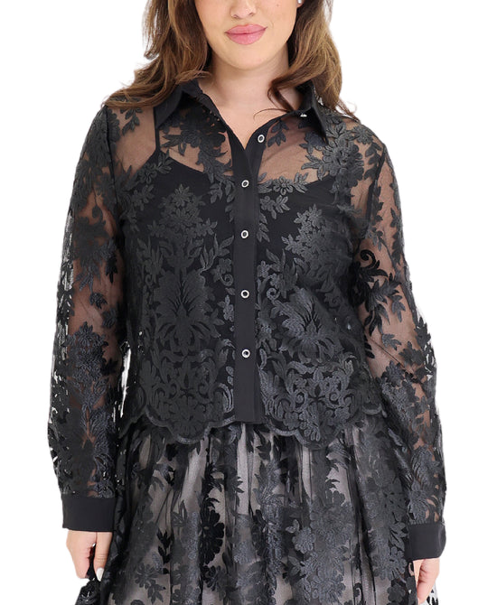 Embroidered Sheer Blouse view 1