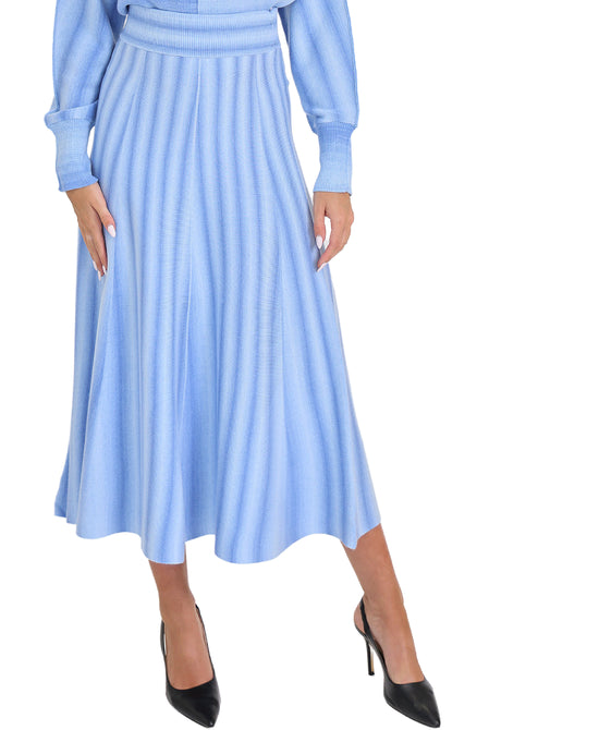 Ombre Printed Midi Skirt view 
