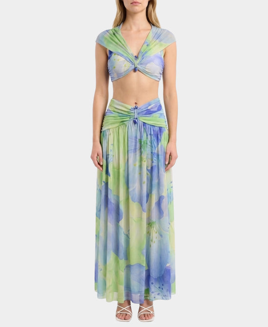 Floral Crop Top & Maxi Skirt Set- 2 pc Set view 1
