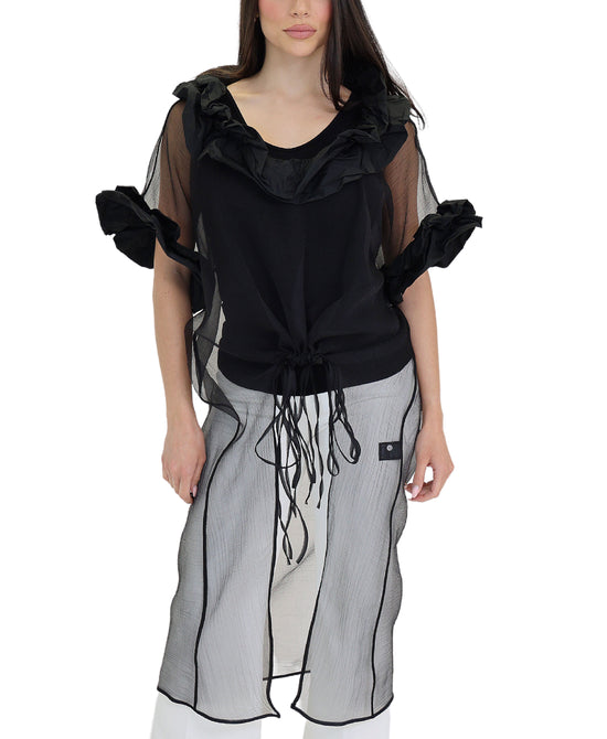 Sheer Ruffle Top view 