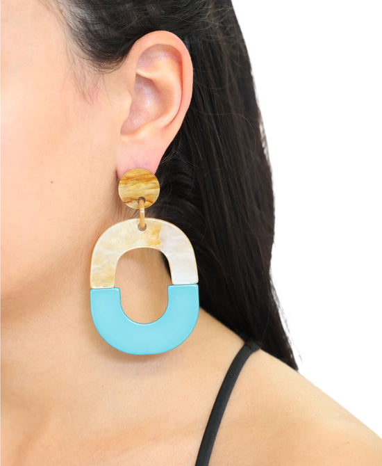 Oval Resin Earrings view 