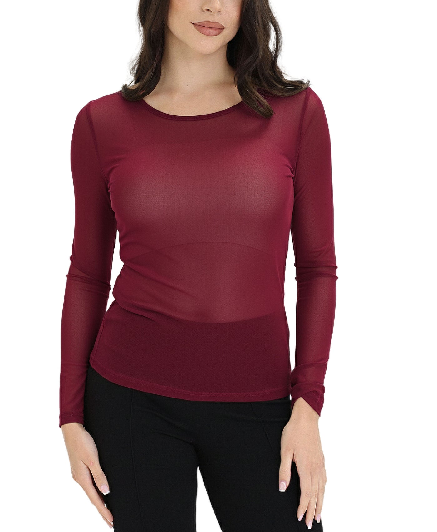 Sheer Mesh Top view 1