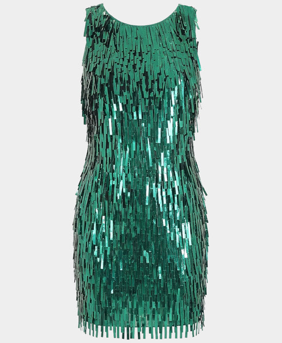 Paillette Fringe Dress view 