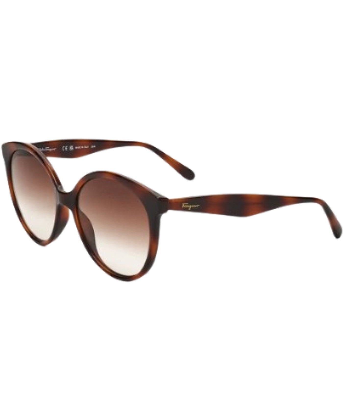 Round Tortoise Sunglasses view 1