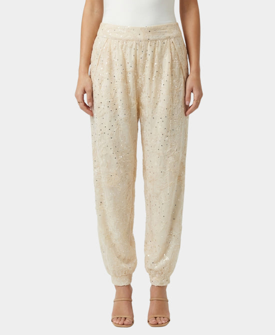 Embroidered Pants w/ Sequins view 1