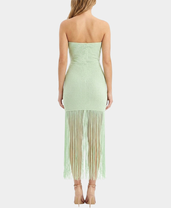
Strapless Fringe Dress in GREEN view 2