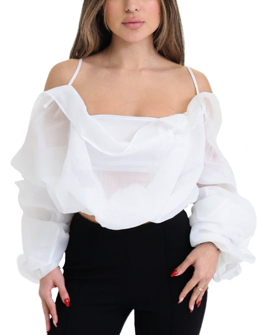 Ruffle Top view 