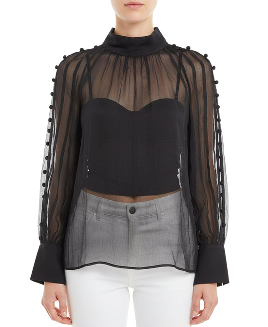 Sheer Blouse view 