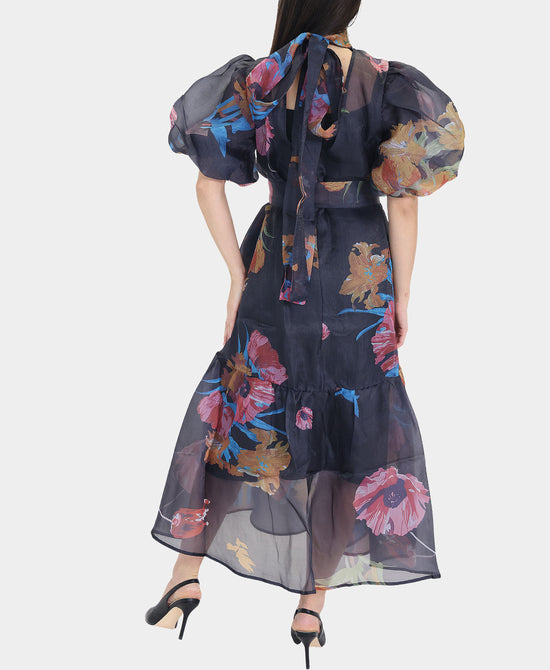 Sheer Floral Print Puff Sleeve Dress view 