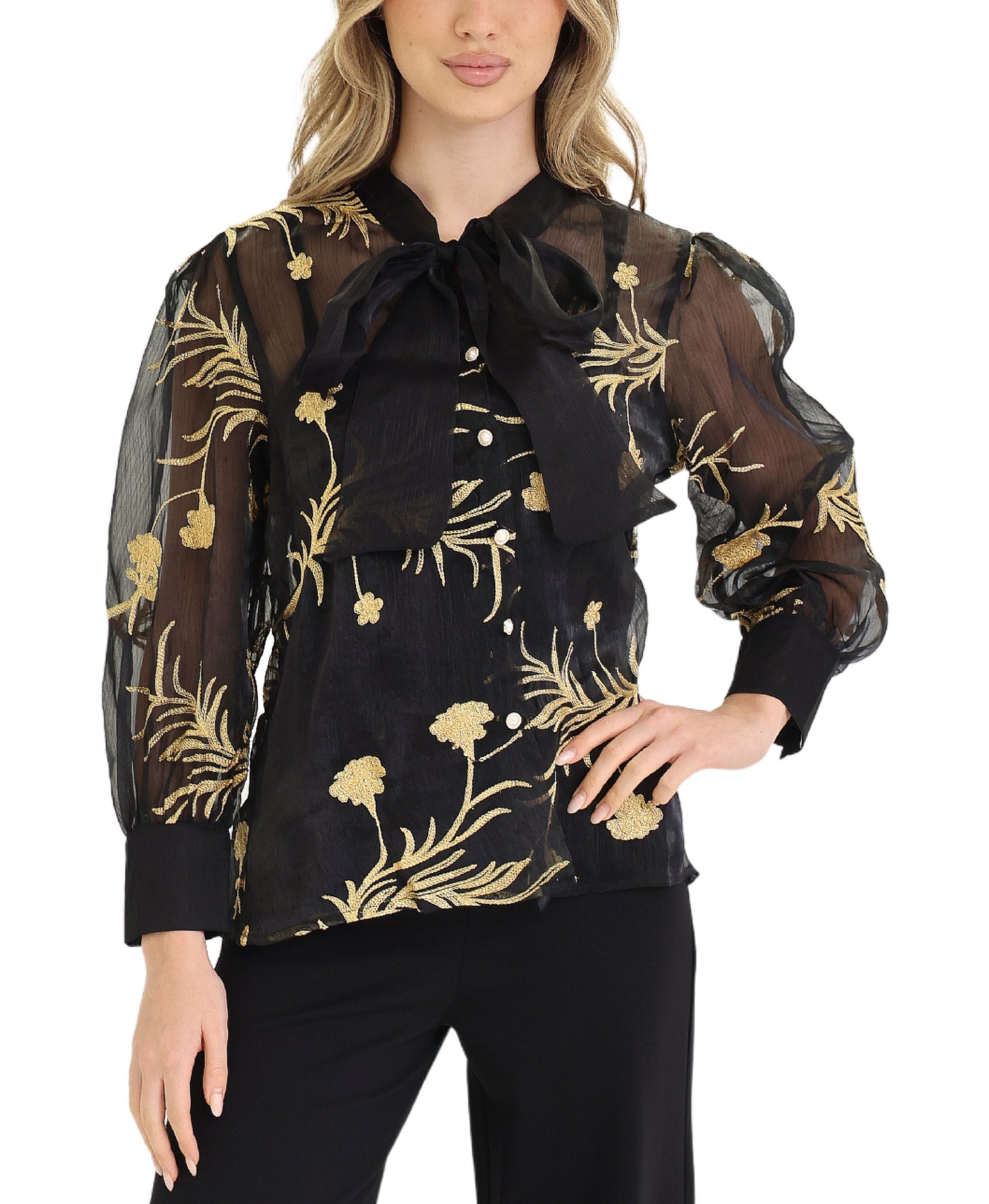 Chiffon Blouse w/ Embroidery view 1