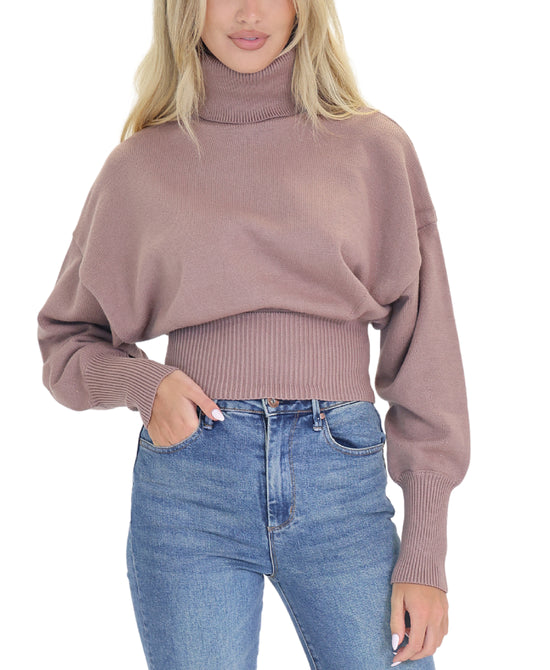 Turtleneck Sweater view 