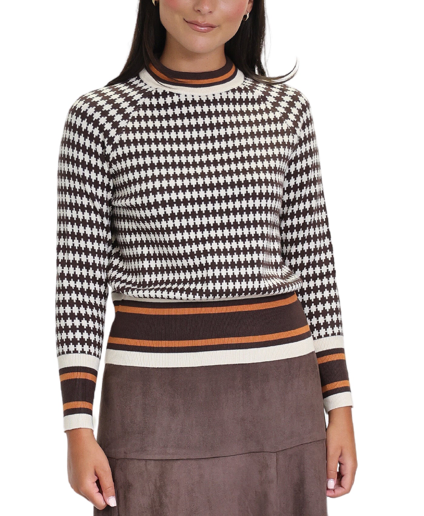 Houndstooth Sweater w/ Stripes image 1