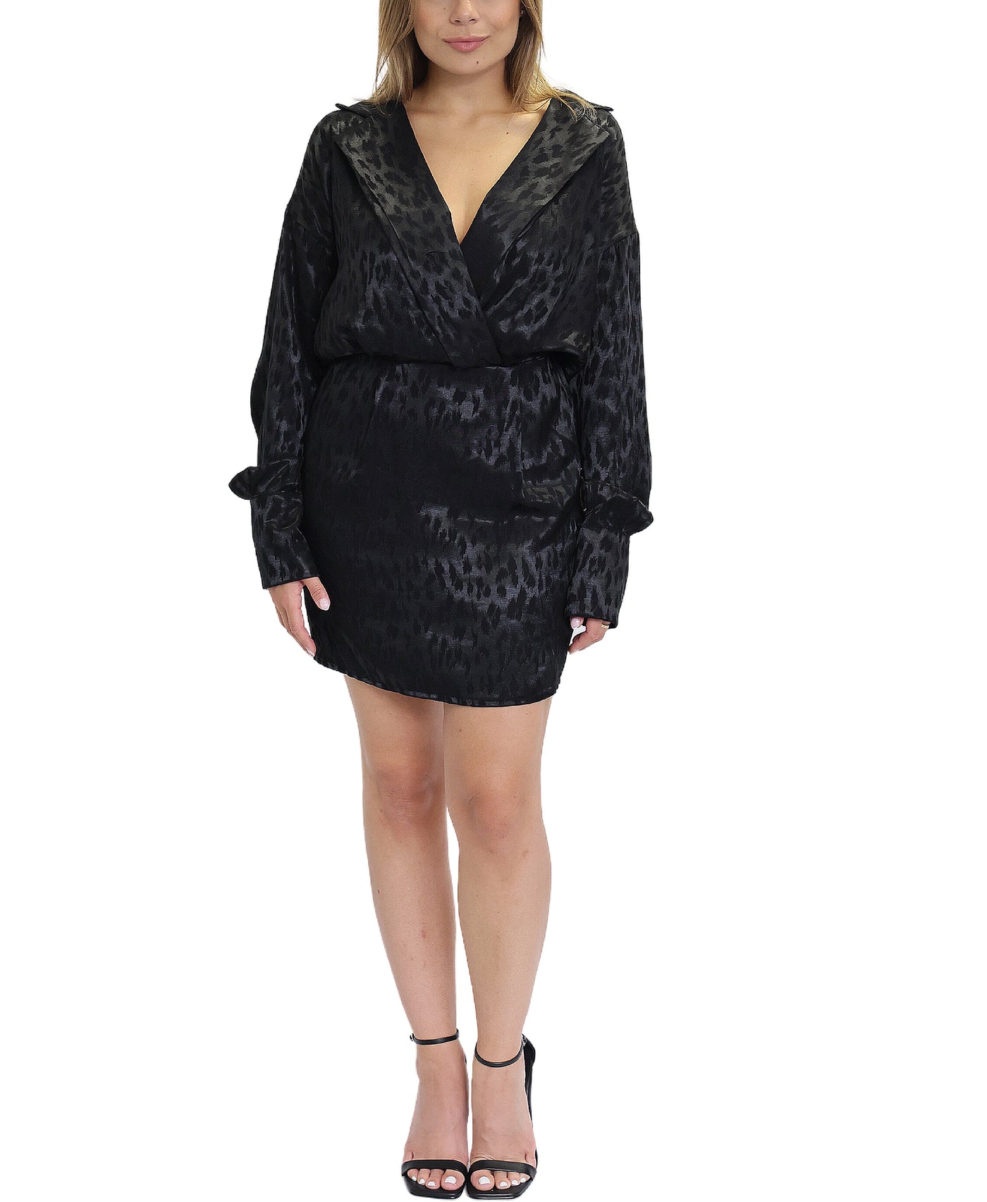Leopard Print Dress image 1