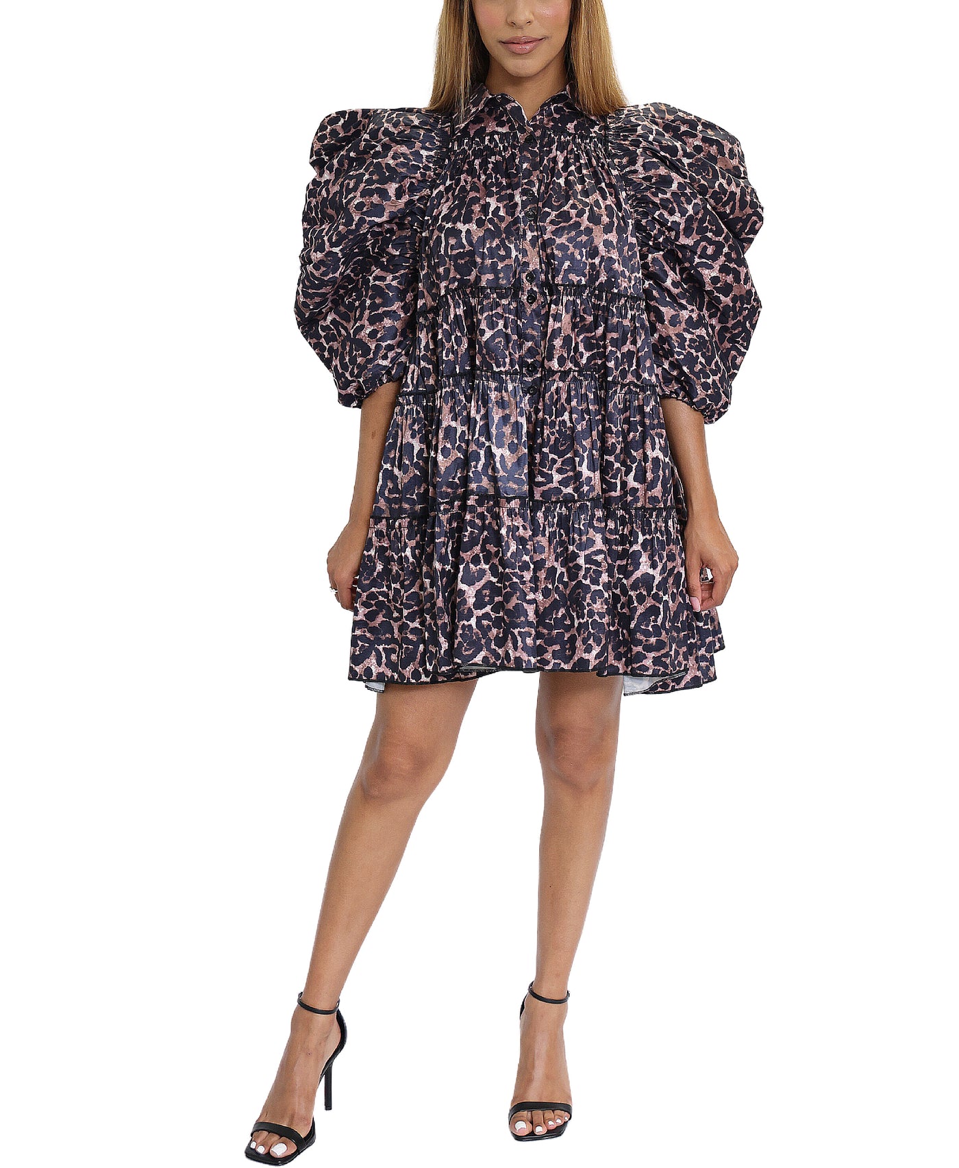 Leopard Print Dress image 1